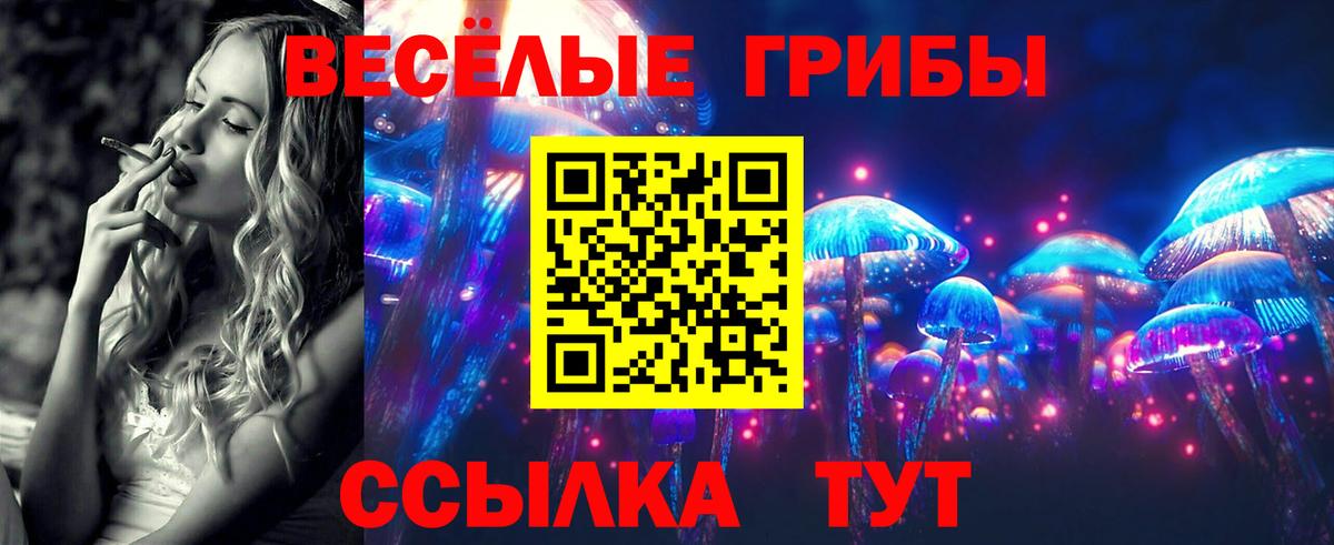 Псилоцибиновые грибы GOLDEN TEACHER  Вход с VPN  Мелеуз  Галлюциногенные грибы мицелий 